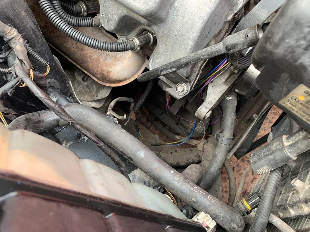 black_service_kr_121017612_693152564916121_7588013907127099201_n