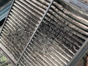 black_service_kr_121112607_3163532797108095_6249553844554734731_n