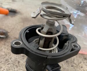 black_service_kr_121593135_191461635761624_5475809311365424498_n