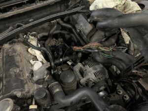 black_service_kr_121970617_378957456486094_2446538474053741002_n