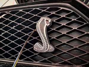 black_service_kr_122001788_195864721916582_8629549302129209896_n