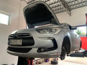 black_service_kr_122004520_395492001471909_4586197329372204040_n