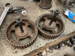 black_service_kr_122021656_3672084946156067_9063406035473629897_n