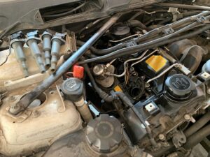 black_service_kr_122903219_108856584352088_1539532875641949728_n