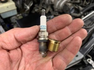 black_service_kr_125360461_312212216440767_8782169505220538725_n