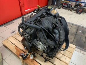 black_service_kr_125551120_110517717460739_2984697734694532809_n