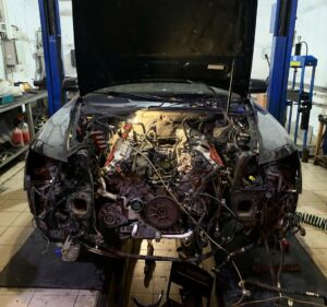 black_service_kr_125910475_385546729355711_2746516559669456728_n