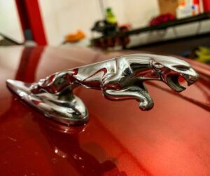 black_service_kr_128949540_125567489204400_3632577938061393461_n