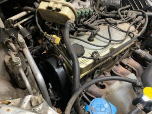 black_service_kr_129348406_1026427421197966_5599282340300413185_n