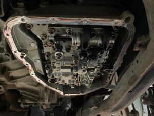 black_service_kr_130597679_137523951282096_1415641382834929064_n