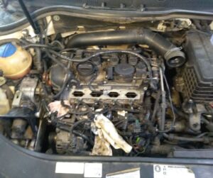 black_service_kr_130808921_400967921354941_8142676502710096052_n