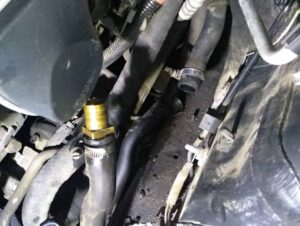 black_service_kr_130819999_217002209994784_4745554958488989797_n