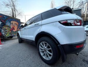 black_service_kr_130860730_116632996958783_3849263856153079113_n