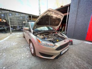 black_service_kr_131228326_221643042660545_6481193146777874451_n