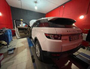 black_service_kr_131312016_795558824341765_2970422366376418071_n