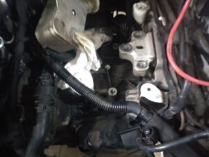 black_service_kr_131449144_131296268790844_6090504764288620781_n