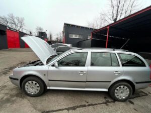 photo-by-blek-servis-on-january-47