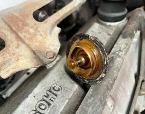 photo-by-blek-servis-on-january-5