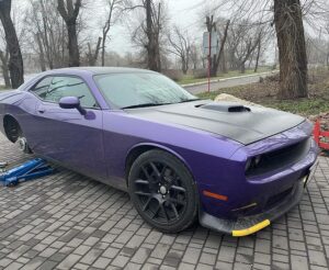 photo-by-blek-servis-on-january-62